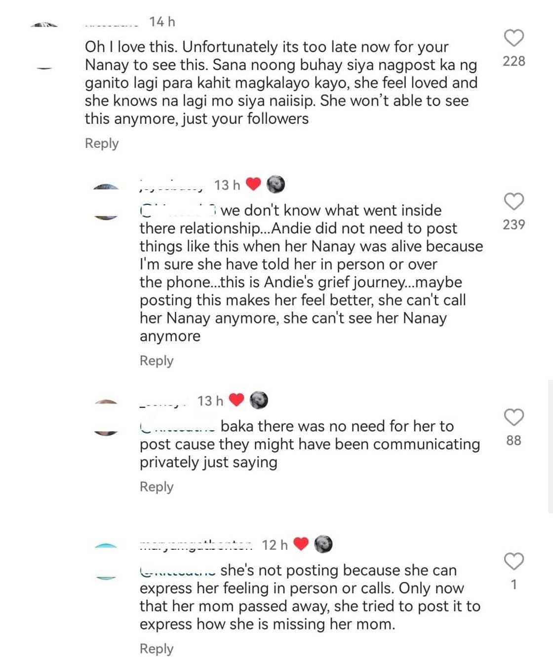Andi Eigenmann likes netizens' comments defending her relationship with her mom Andi Eigenmann likes netizens' comments defending her relationship with her mom