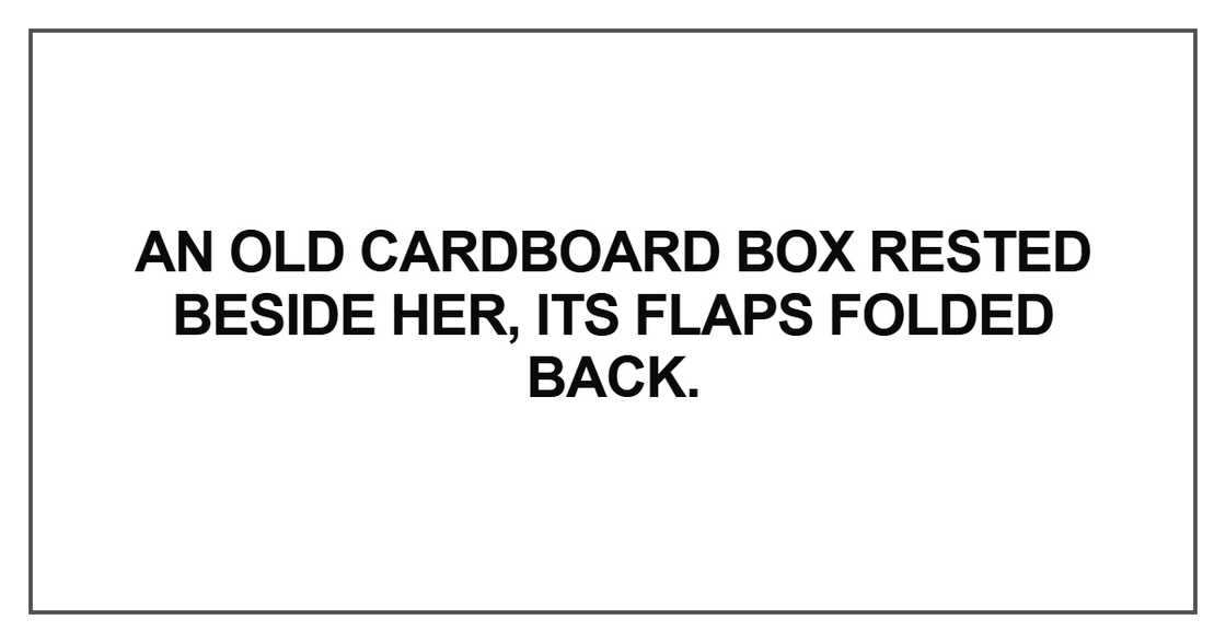 An old cardboard box rested beside her, its flaps folded back An old cardboard box rested beside her, its flaps folded back
