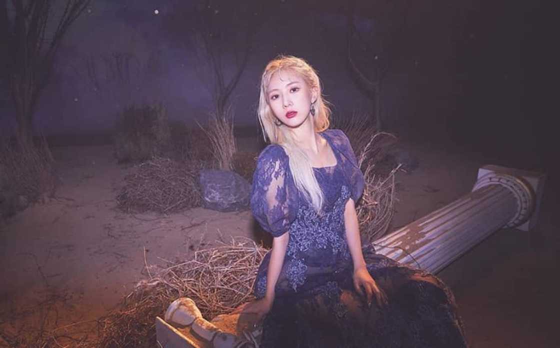 Dreamcatcher profile kpop Dreamcatcher profile kpop