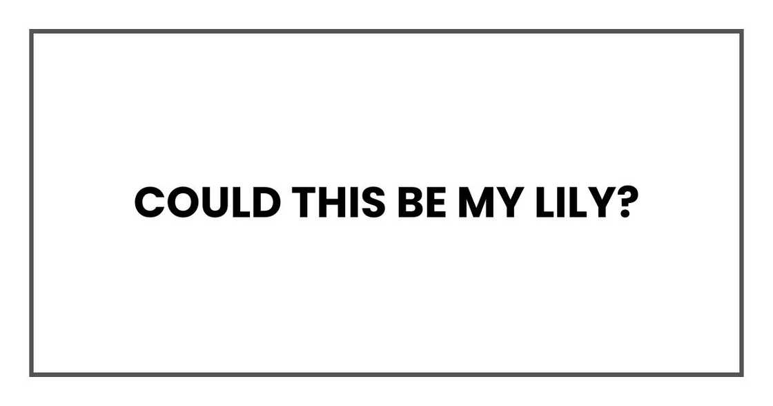 Could this be my Lily? Could this be my Lily?