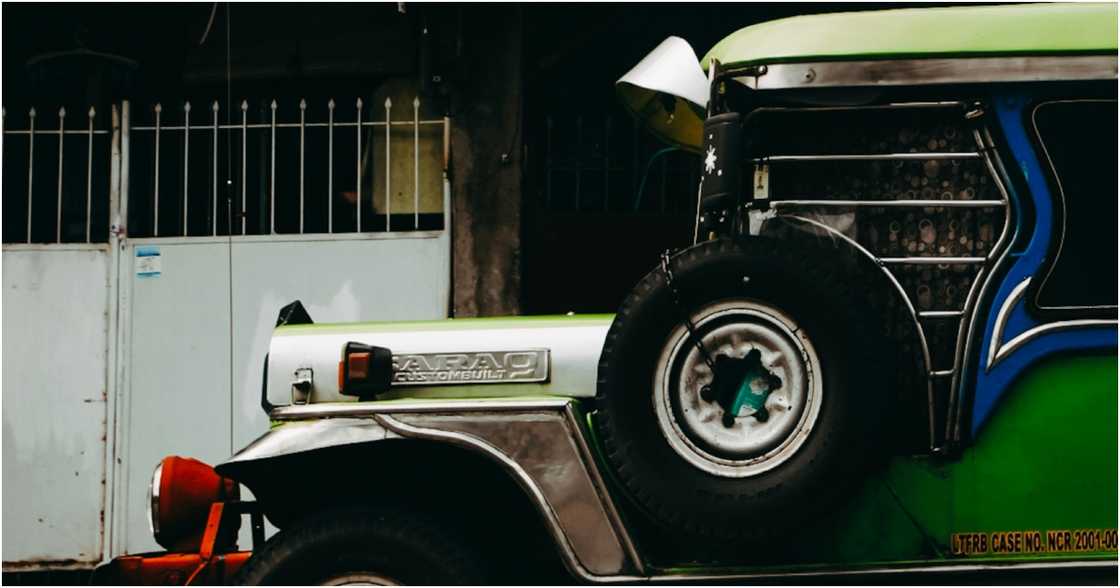 RENDAN CATIPAY on Pexels RENDAN CATIPAY on Pexels