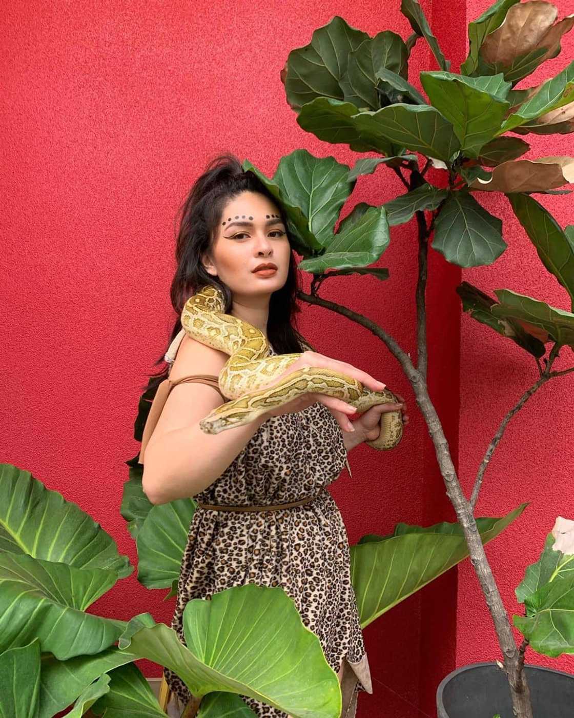 pauleen luna pauleen luna