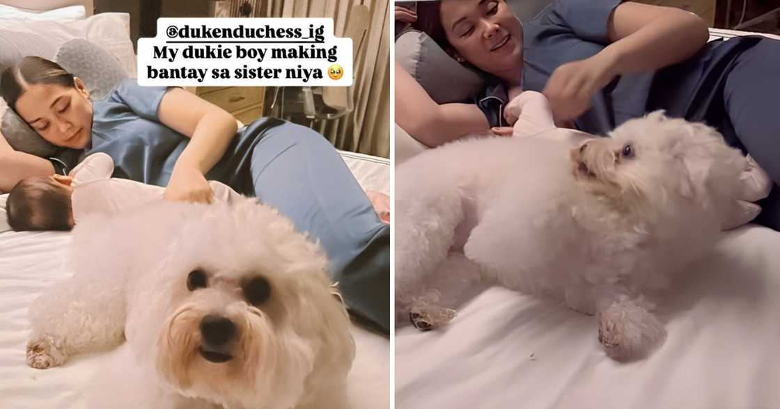 Maja Salvador, ibinida ang tila pagbabantay ng aso niyang si Duke kay Baby Maria