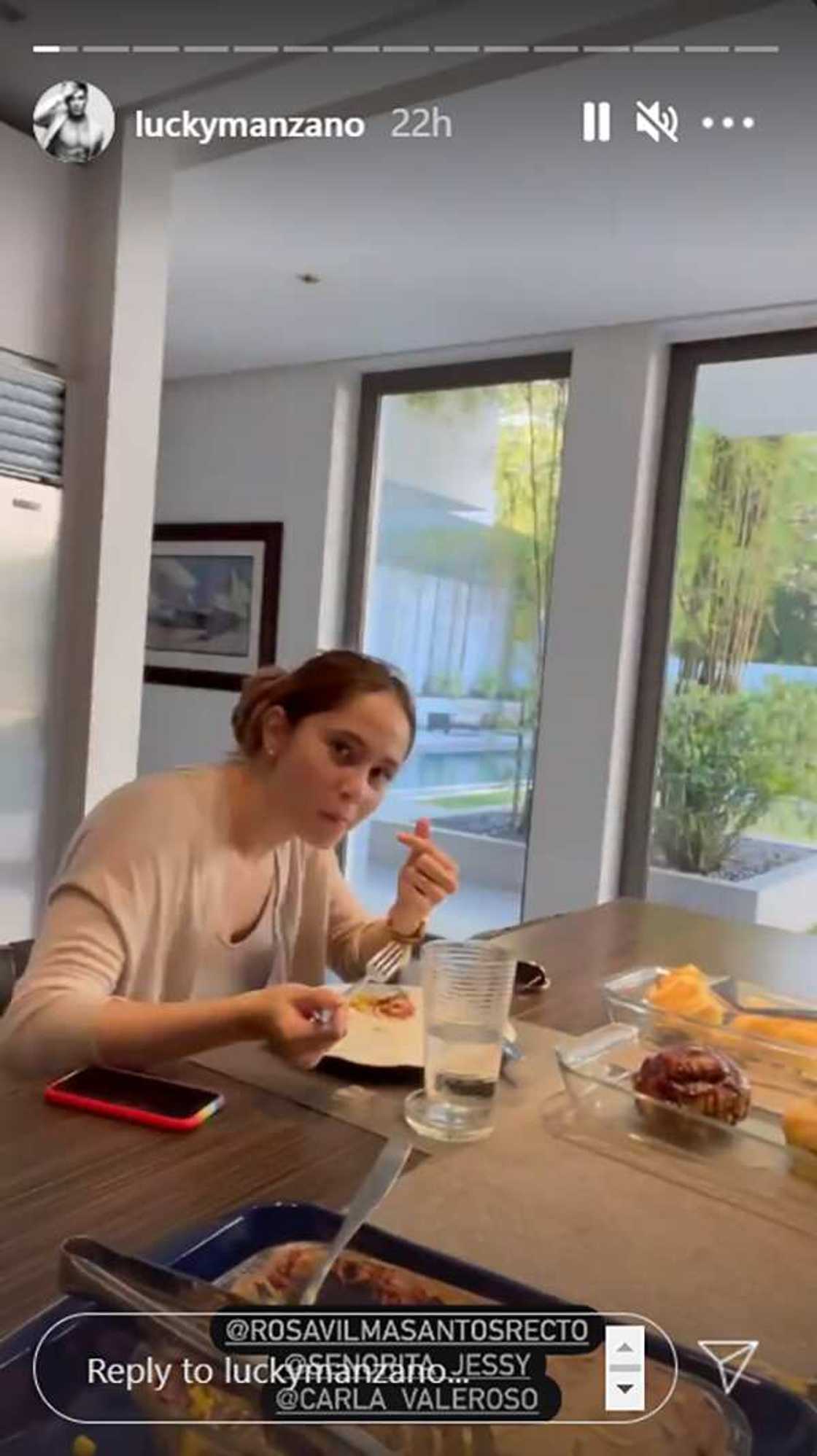 Luis Manzano invites his mother, Vilma Santos to join his next vlog Luis Manzano invites his mother, Vilma Santos to join his next vlog