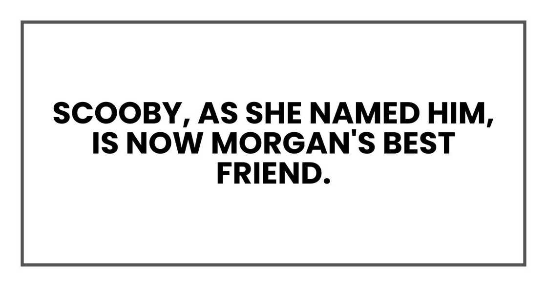 Scooby, as she named him, is now Morgan's best friend. Scooby, as she named him, is now Morgan's best friend.