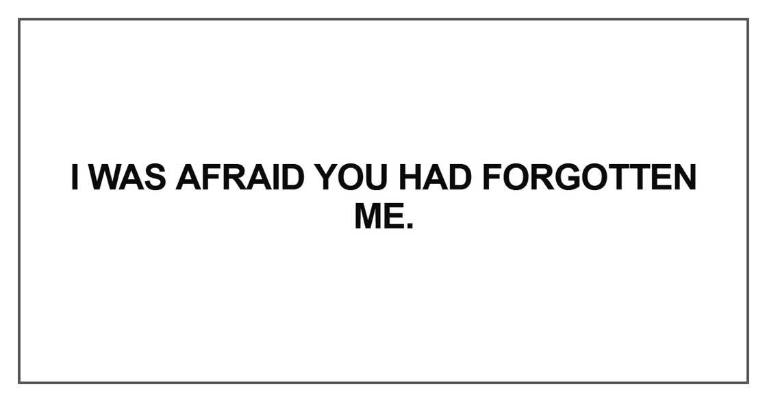 I was afraid you had forgotten I was afraid you had forgotten