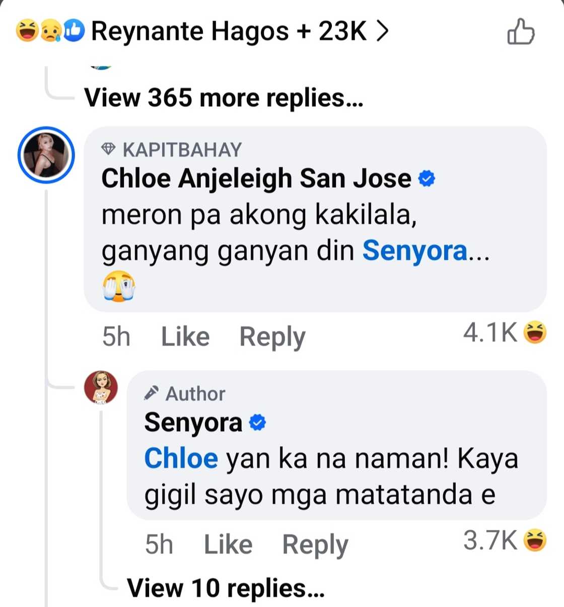 Senyora, may sagot sa komento ni Chloe sa post nya: "Kaya gigil sayo mga matatanda, e"