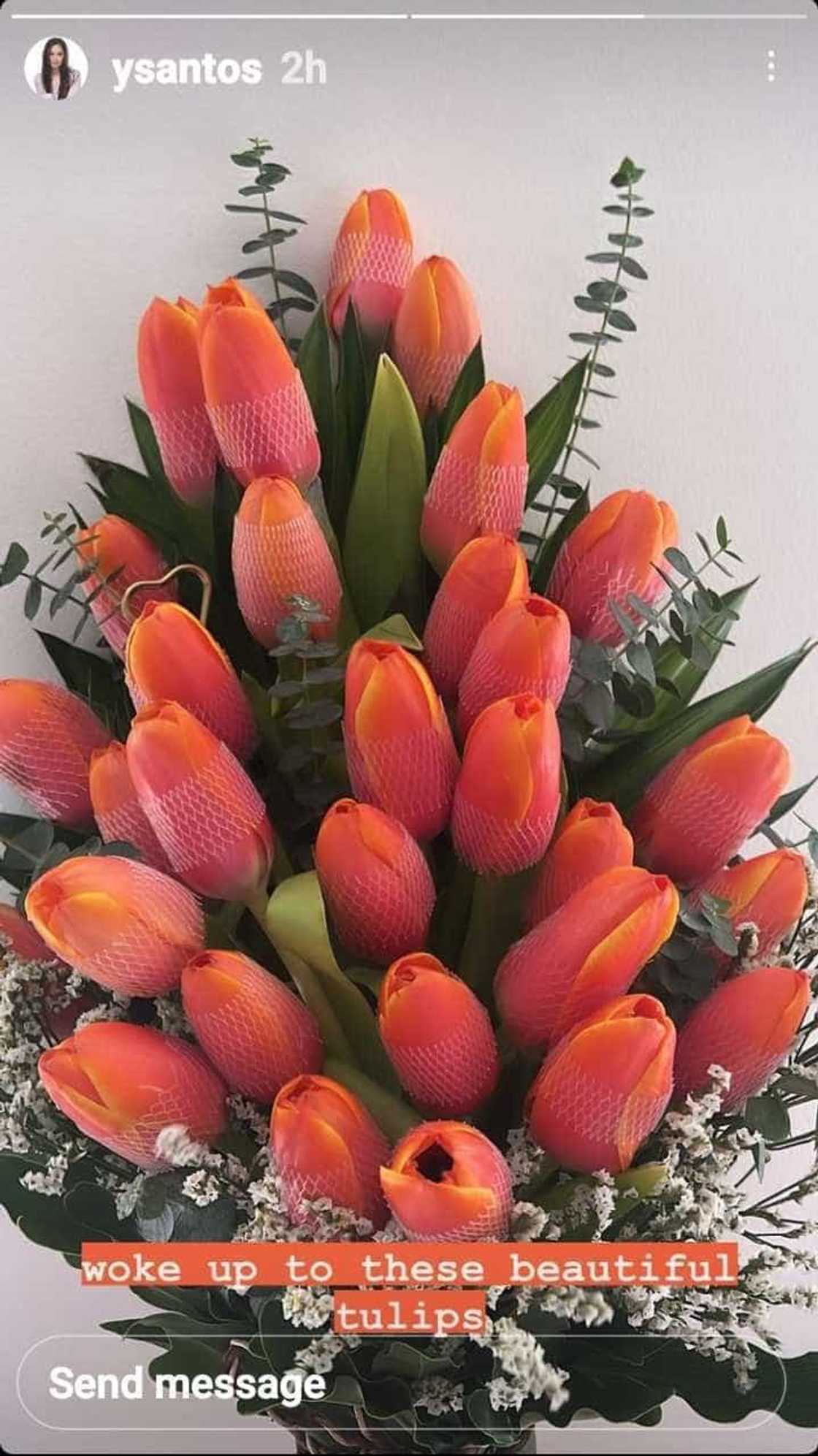 Yen Santos flaunts lovely tulips she received a day before her birthday Yen Santos flaunts lovely tulips she received a day before her birthday