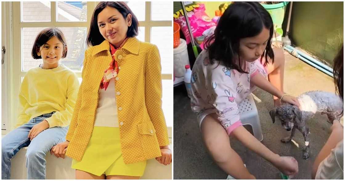 Video ng anak ni Beauty Gonzalez na pinapaliguan ang kanilang aso, viral na Video ng anak ni Beauty Gonzalez na pinapaliguan ang kanilang aso, viral na