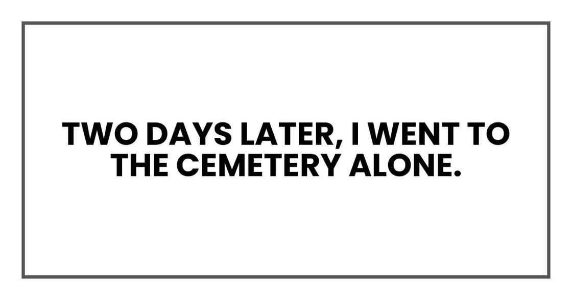 Two days later, I went to the cemetery alone.