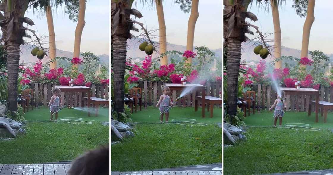 Angelica Panganiban, shinare cute na vid ni Baby Bean na dinidiligan mga damu't halaman pati niyog Angelica Panganiban, shinare cute na vid ni Baby Bean na dinidiligan mga damu't halaman pati niyog