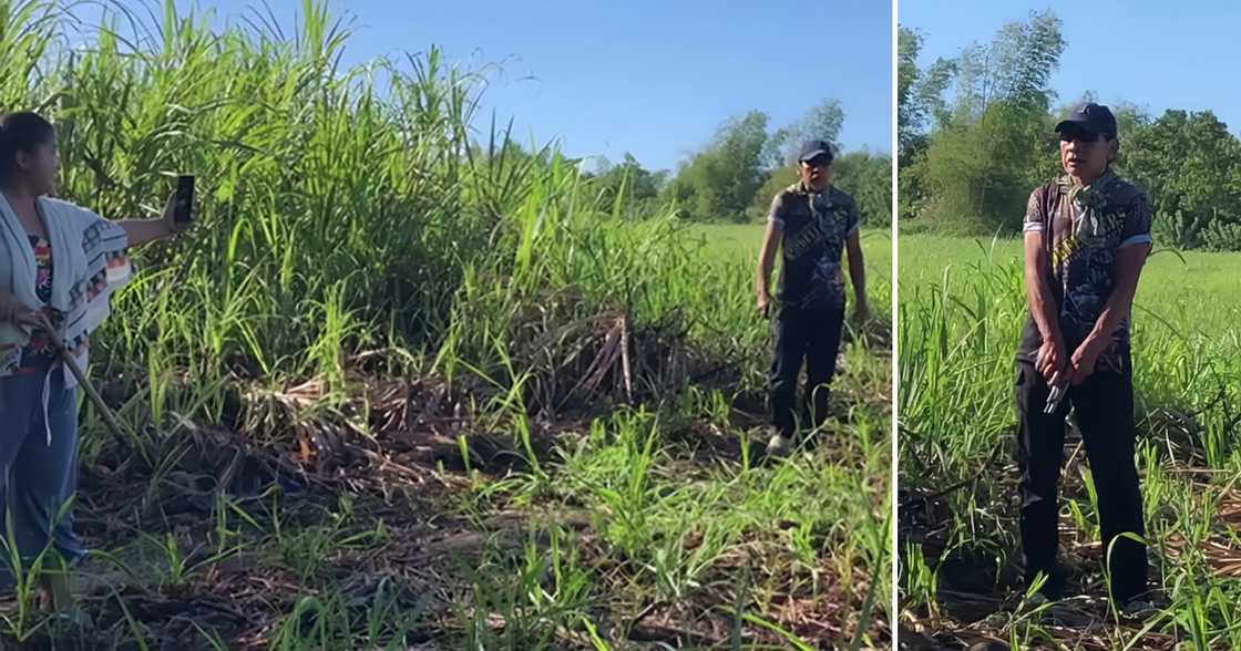Pulisya, iniimbistigahan na ang video ng lalaking nagpaputok baril sa harap mga magsasaka sa Negros Pulisya, iniimbistigahan na ang video ng lalaking nagpaputok baril sa harap mga magsasaka sa Negros