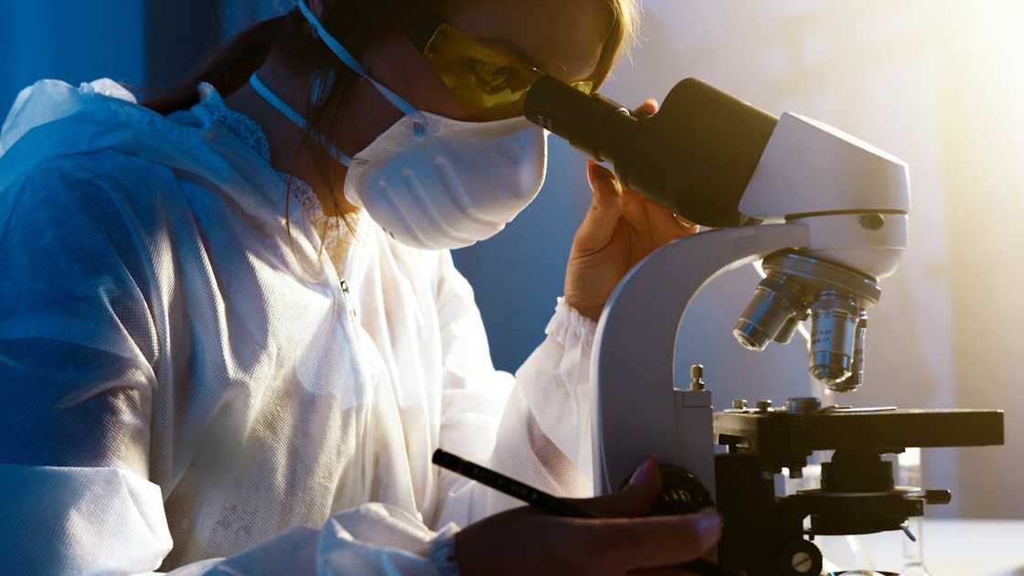 A lab technician examines a sample through a microscope. A lab technician examines a sample through a microscope.