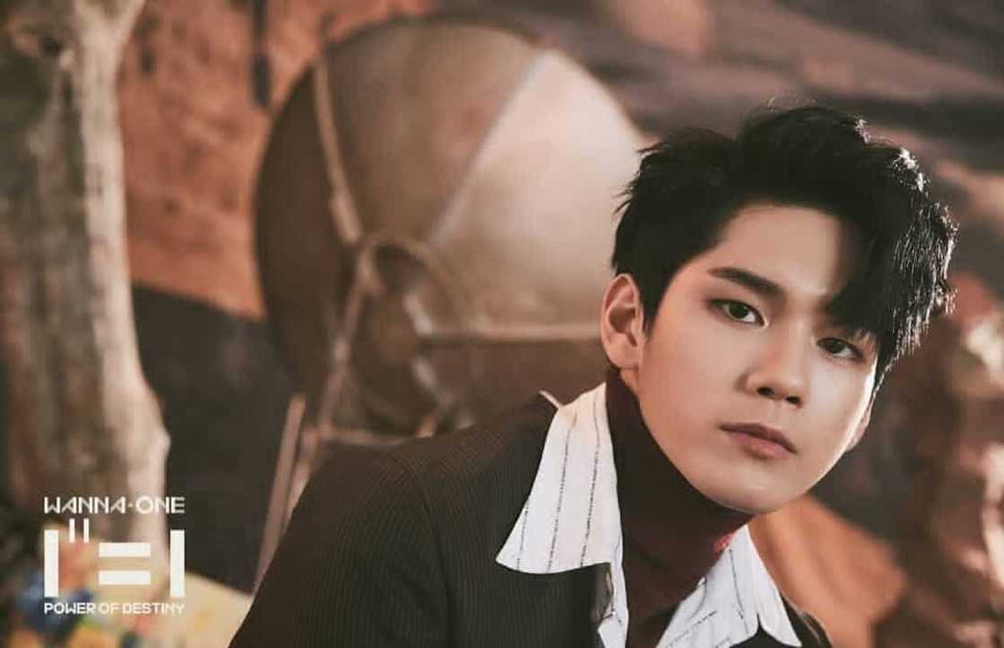 Wanna One members Wanna One members