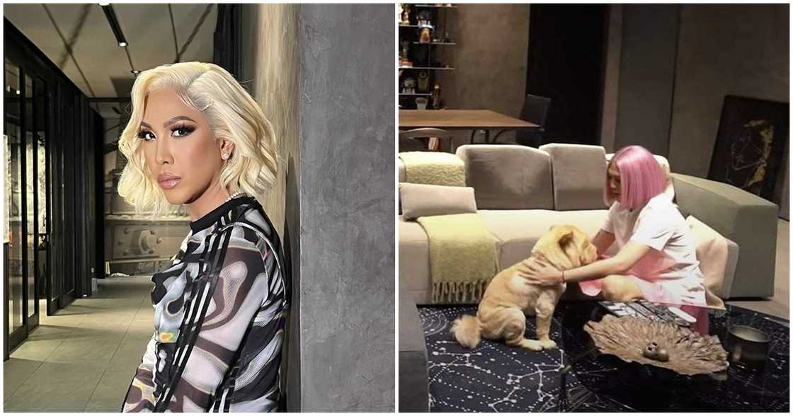 Vice Ganda mourns loss of his furbaby Chip In: "Been crying since morning"