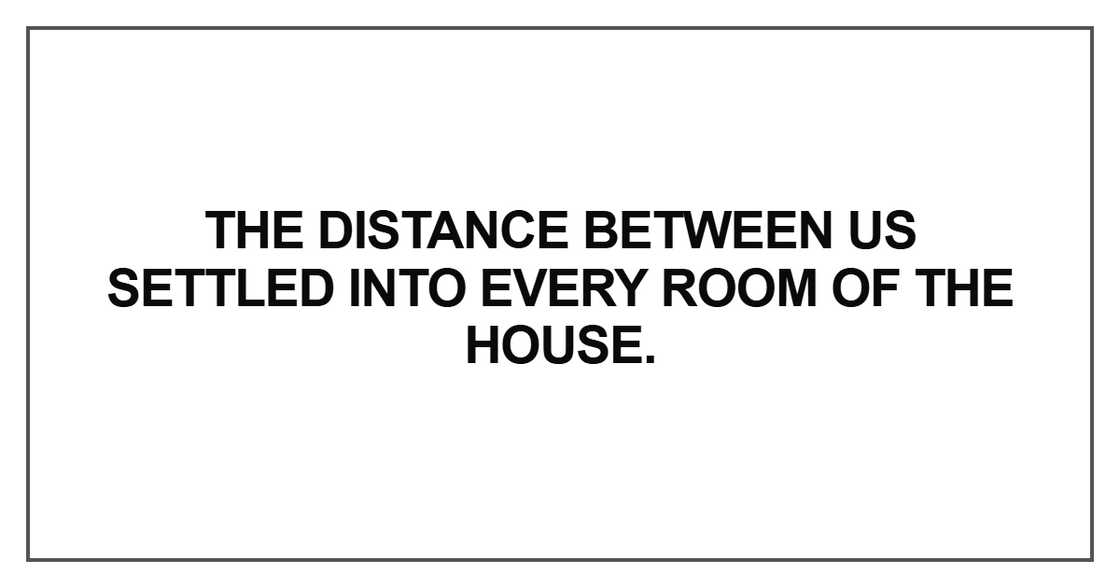 The distance between us settled into every room of the house The distance between us settled into every room of the house