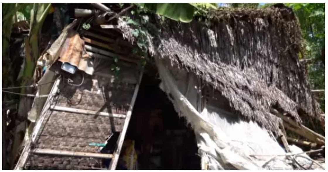 Pamilyang nakatira sa wasak na bahay, natulungan ng mga netizens dahil sa isang vlogger Pamilyang nakatira sa wasak na bahay, natulungan ng mga netizens dahil sa isang vlogger