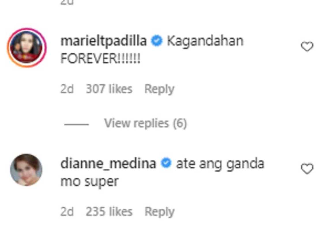 Mariel Padilla, Dianne Medina gush over Kristine Hermosa's latest photo: "kagandahan forever" Mariel Padilla, Dianne Medina gush over Kristine Hermosa's latest photo: "kagandahan forever"