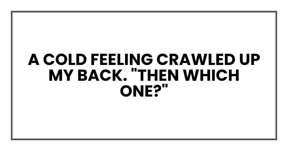 A cold feeling crawled up my back. "Then which one?" A cold feeling crawled up my back. "Then which one?"