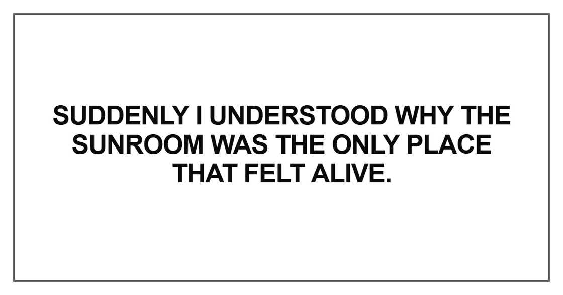 Suddenly I understood why the sunroom Suddenly I understood why the sunroom
