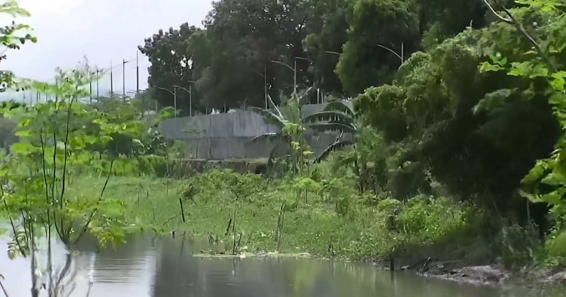 Chilling discovery: Body inside drum found in Taguig creek; police investigate Chilling discovery: Body inside drum found in Taguig creek; police investigate