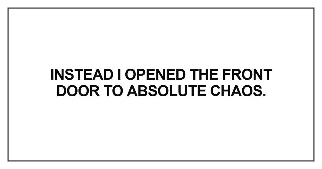 Instead I opened the front door
