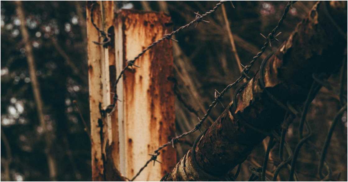 Nikolai Ulltang on Pexels Nikolai Ulltang on Pexels