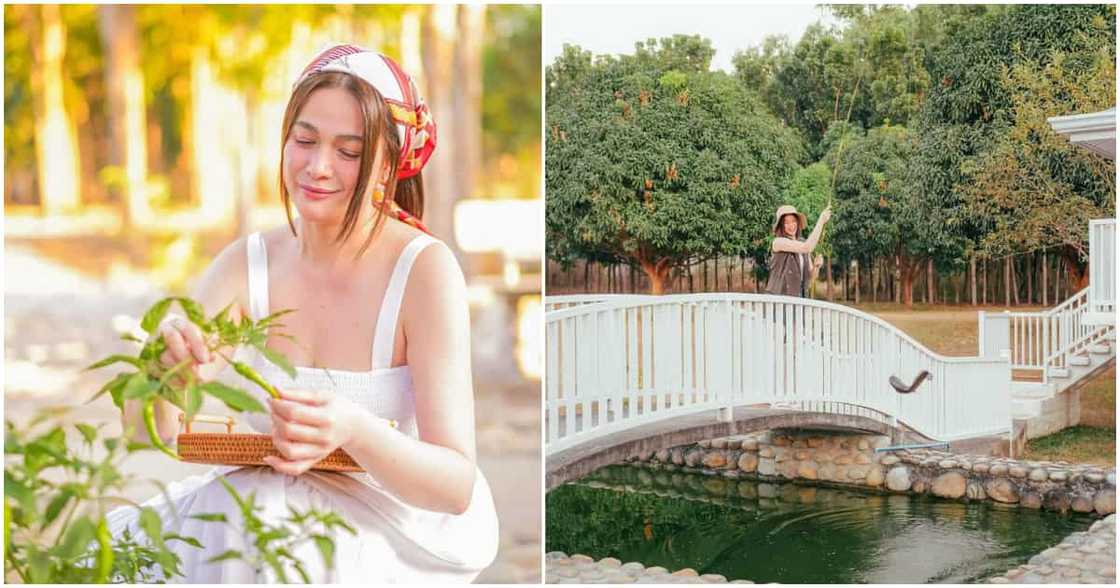 Bea Alonzo, may pasilip sa kanyang eco-friendly farm