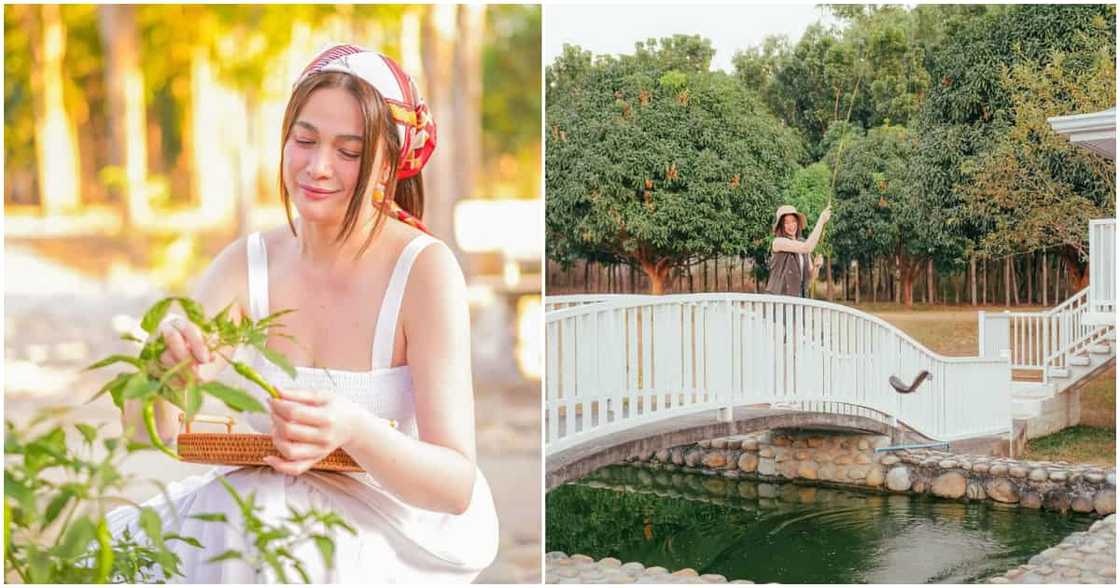Bea Alonzo, may pasilip sa kanyang eco-friendly farm Bea Alonzo, may pasilip sa kanyang eco-friendly farm