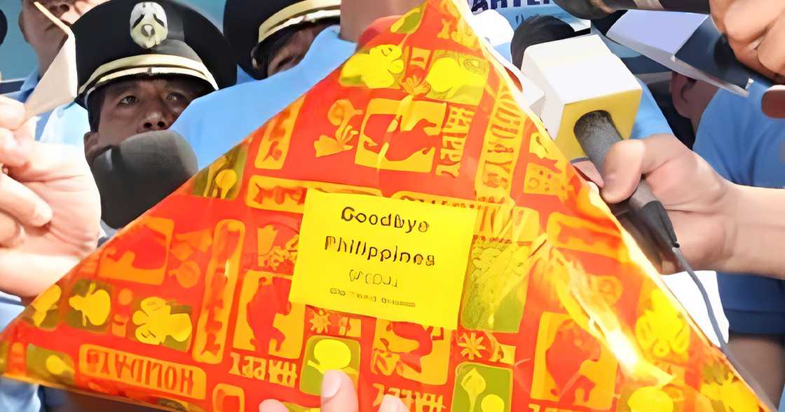 Sampung taong gulang na bata, patay dahil sa paputok na “Goodbye Philippines” Sampung taong gulang na bata, patay dahil sa paputok na “Goodbye Philippines”