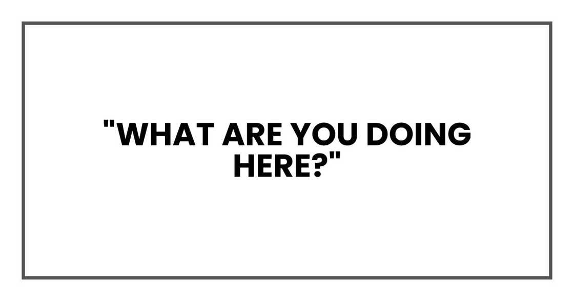 "What are you doing here?" "What are you doing here?"