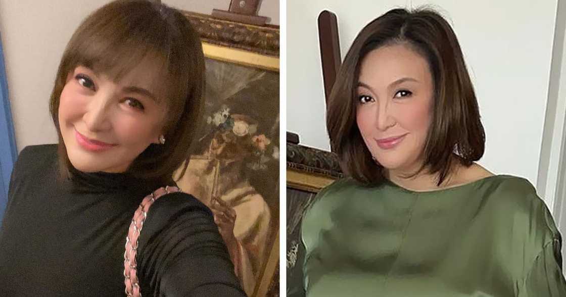 Sharon Cuneta, usap-usapan ang cryptic post: "I'll never leave you for someone else" Sharon Cuneta, usap-usapan ang cryptic post: "I'll never leave you for someone else"