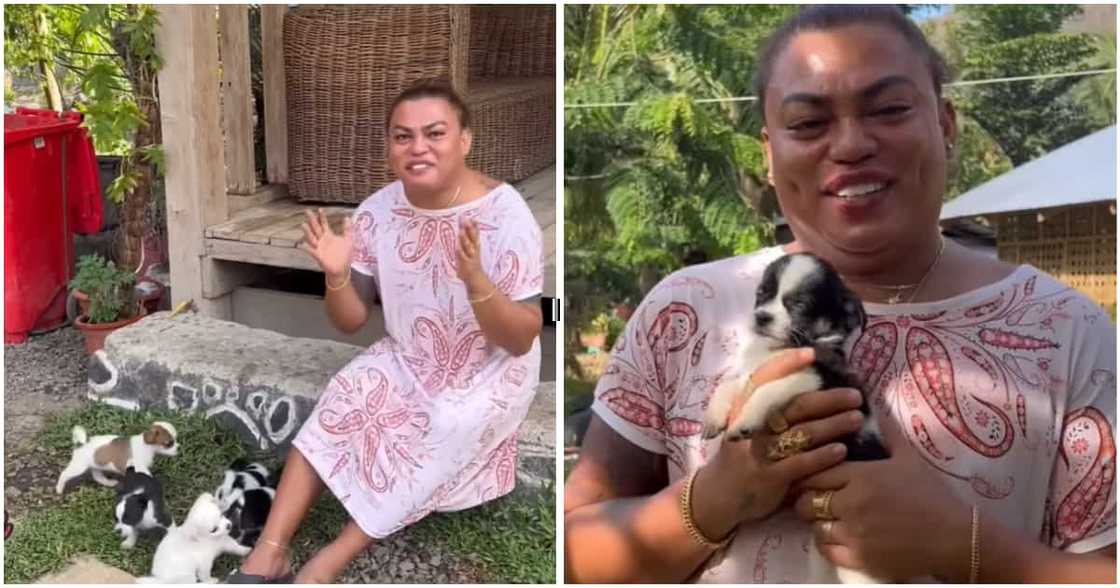 Brenda Mage, pinangalan sa mga alagang aso ang pangalan ng mga ex niya Brenda Mage, pinangalan sa mga alagang aso ang pangalan ng mga ex niya
