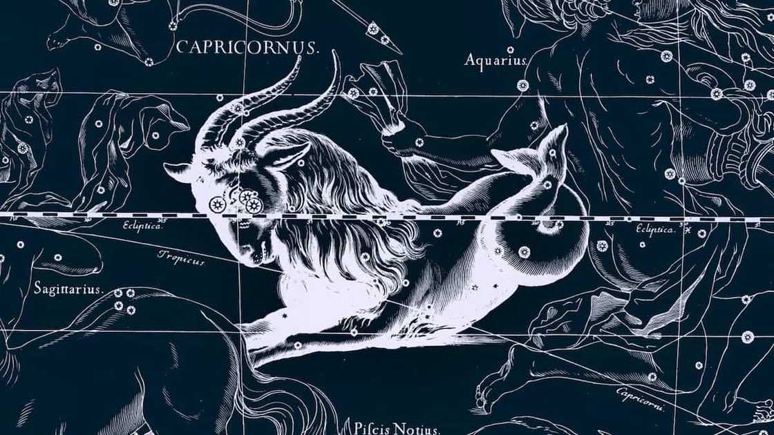 Zodiac signs in order by month Zodiac signs in order by month