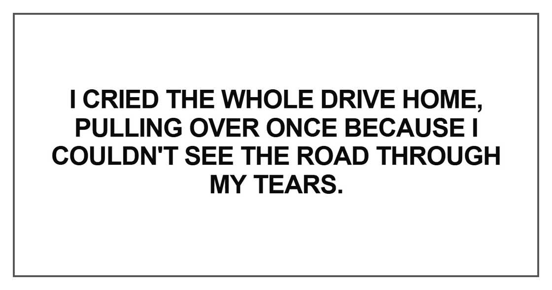 I cried the whole drive home, pulling over once because I couldn't see the road through my tears.