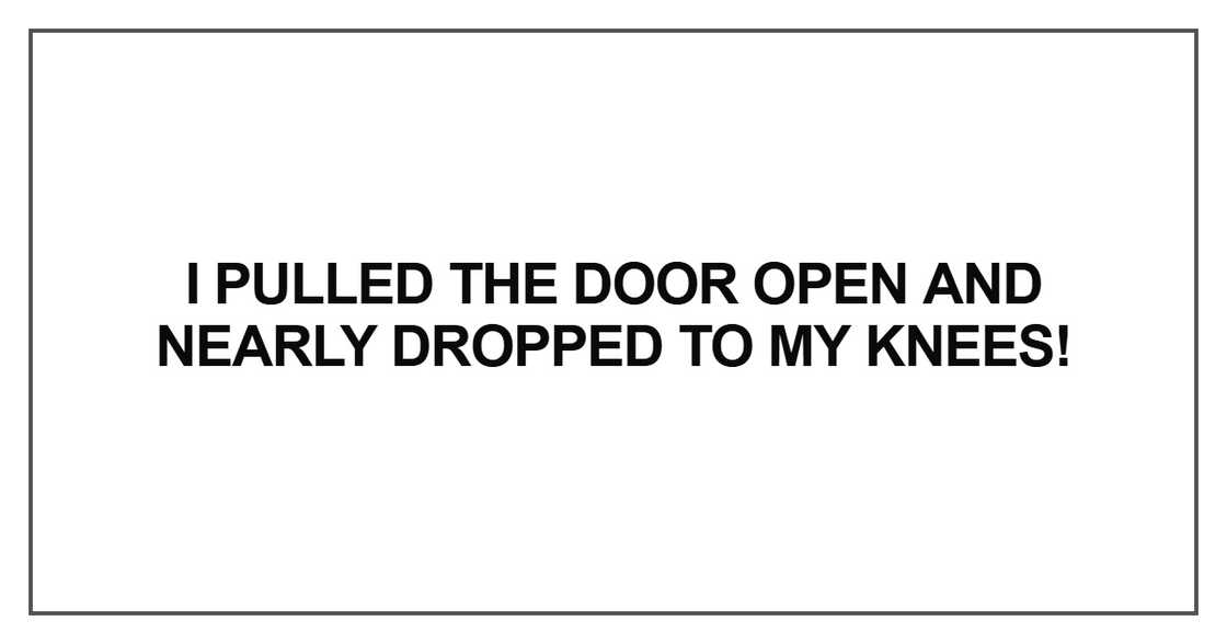 I pulled the door open