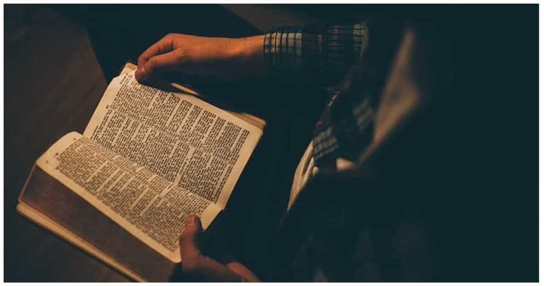 Sekyu, nagbabasa-basa na ng mga law books bilang paghahanda sa pag-aabugasya Sekyu, nagbabasa-basa na ng mga law books bilang paghahanda sa pag-aabugasya