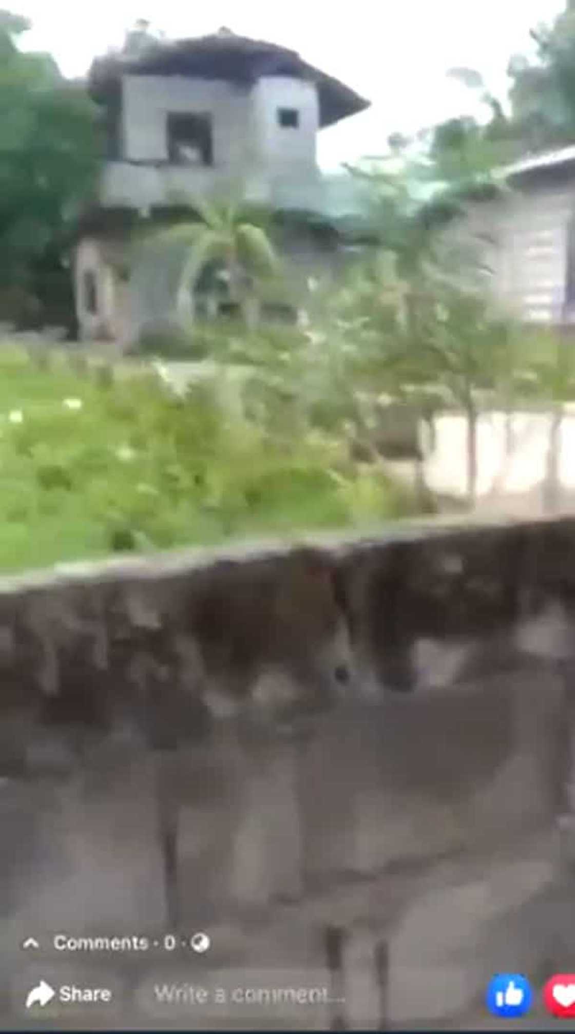 Kinuyog! Video of men attacking home of Jonel Nuezca after shooting Gregorio surfaces