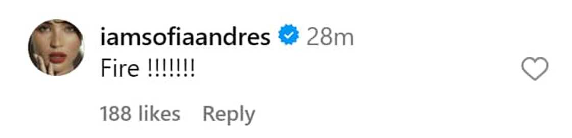 Liza Soberano, Sofia Andres pinuri ang bagong photos ni Nadine Lustre Liza Soberano, Sofia Andres pinuri ang bagong photos ni Nadine Lustre