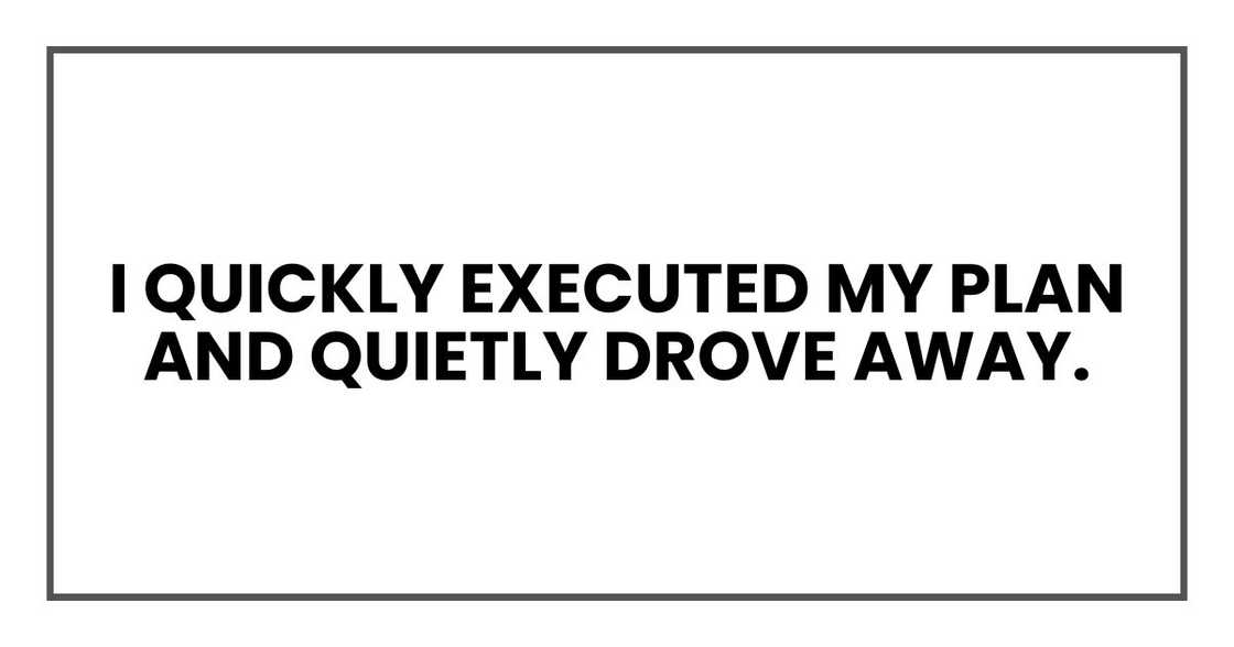 I quickly executed my plan and quietly drove away I quickly executed my plan and quietly drove away