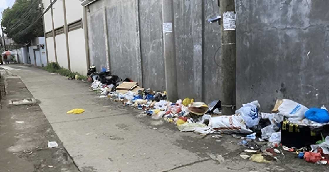 Nakapangingilabot na pagtuklas: Patay na sanggol, natagpuan tambak ng basura tabi ng daan sa Pasig Nakapangingilabot na pagtuklas: Patay na sanggol, natagpuan tambak ng basura tabi ng daan sa Pasig