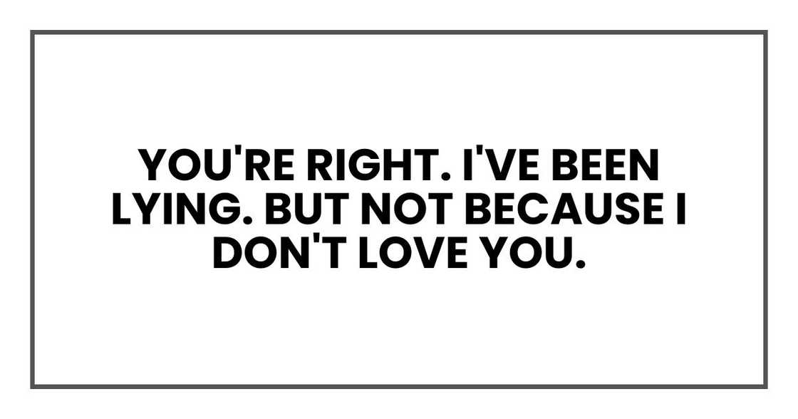 You're right. I've been lying. But not because I don't love you. You're right. I've been lying. But not because I don't love you.
