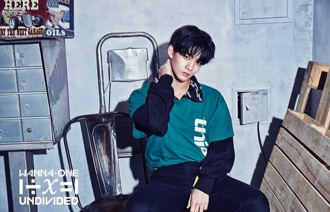 Wanna One members Wanna One members