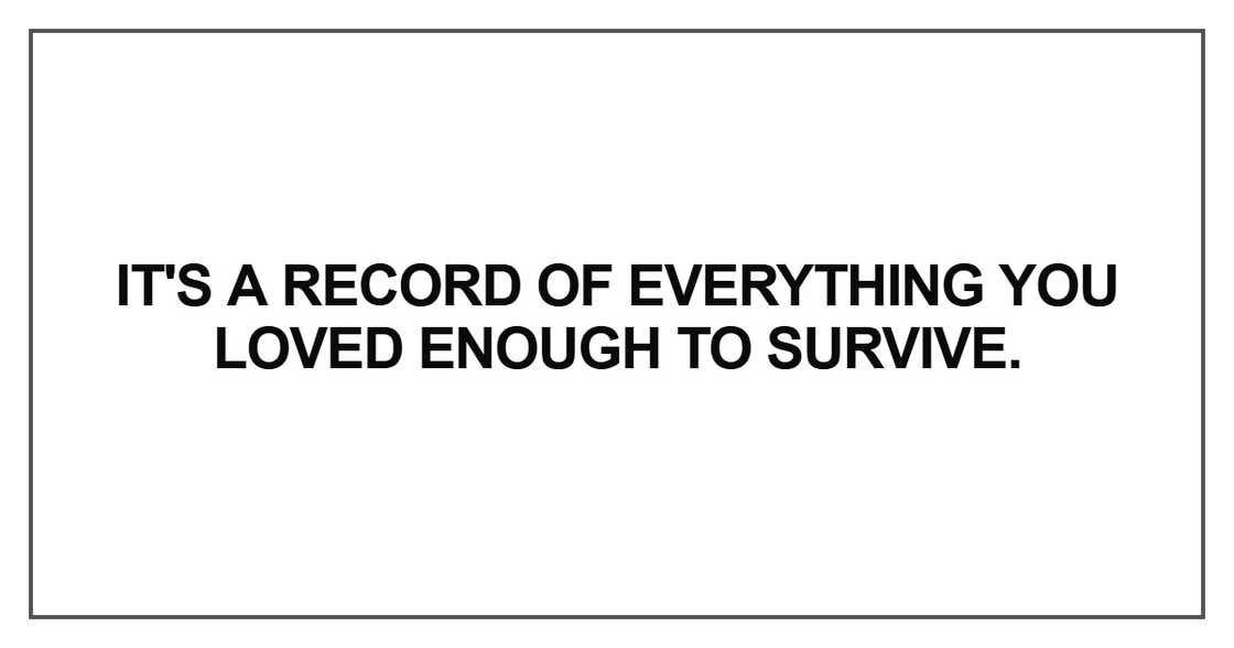 It's a record of everything you loved enough to survive