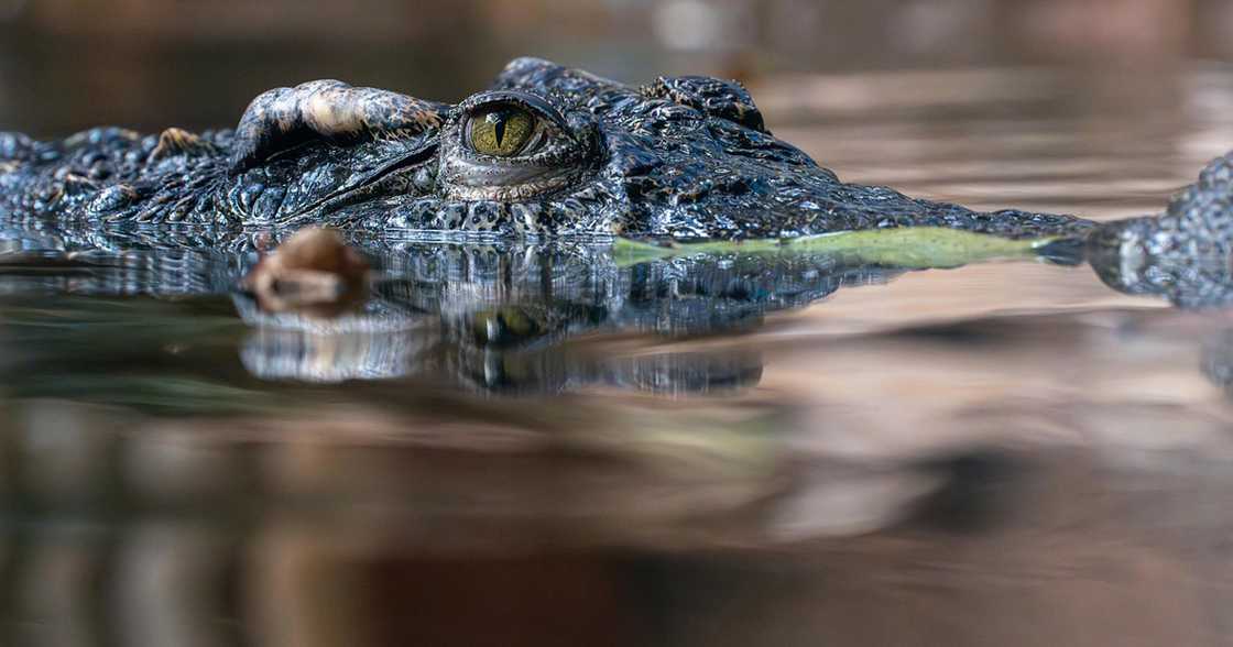 Photo: Pixabay Photo: Pixabay