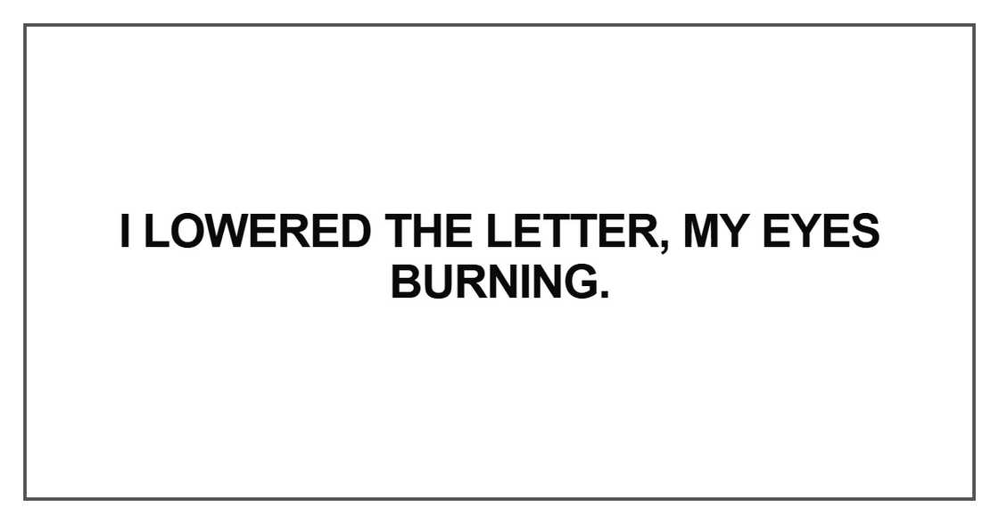 I lowered the letter