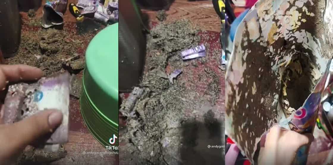 Netizen, nanlumo matapos makitang inanay ang kanyang ipong pera Netizen, nanlumo matapos makitang inanay ang kanyang ipong pera