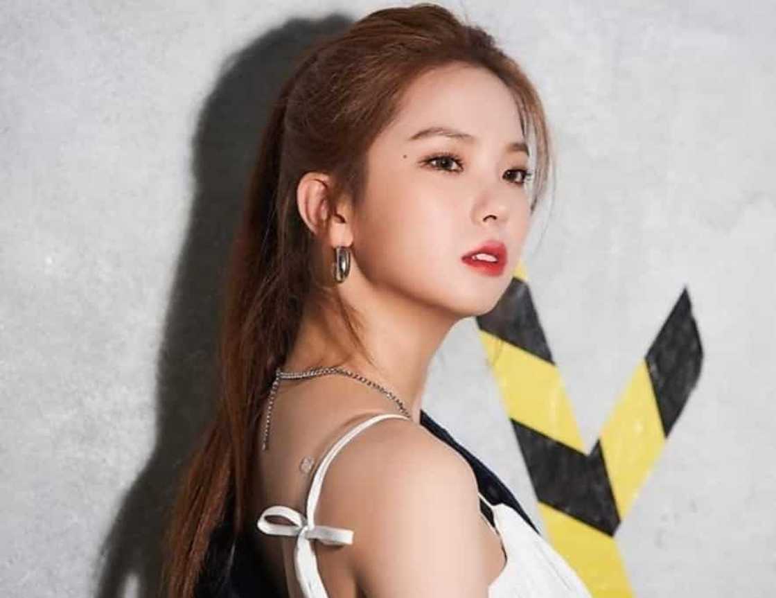 CLC members CLC members