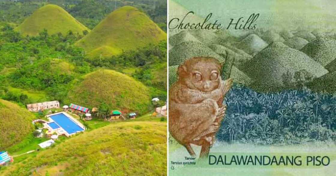 Artwork sa likod ng P200 na may resort sa gitna Chocolate Hills, kinagiliwan ng netizens; nag-viral Artwork sa likod ng P200 na may resort sa gitna Chocolate Hills, kinagiliwan ng netizens; nag-viral