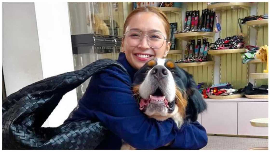 Ogie D kina Kathryn at Jericho: "Mukhang naba-viral sila madalas" Ogie D kina Kathryn at Jericho: "Mukhang naba-viral sila madalas"